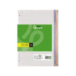 Recambio Liderpapel DIN A4 4 taladros 80gr rayado horizontal