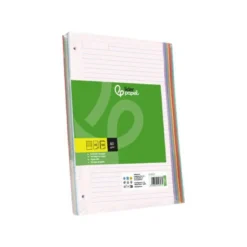 Recambio Liderpapel DIN A5 6 taladros 70gr rayado horizontal