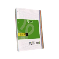 Recambio Liderpapel DIN A5 6 taladros 80 gr cuadrícula 5mm