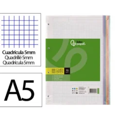 Recambio Liderpapel DIN A5 6 taladros 80 gr cuadrícula 5mm
