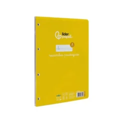 Recambio Liderpapel DIN A4 4 taladros 70 gr cuadriculado pautado 4 mm