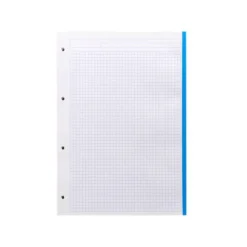 Recambio Liderpapel Din A4 4 taladros 100gr cuadricula 5mm 5 bandas de colores