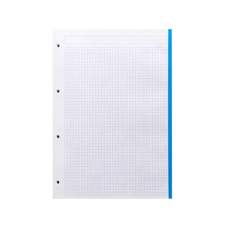 Recambio Liderpapel Din A4 4 taladros 100gr cuadricula 5mm 5 bandas de colores