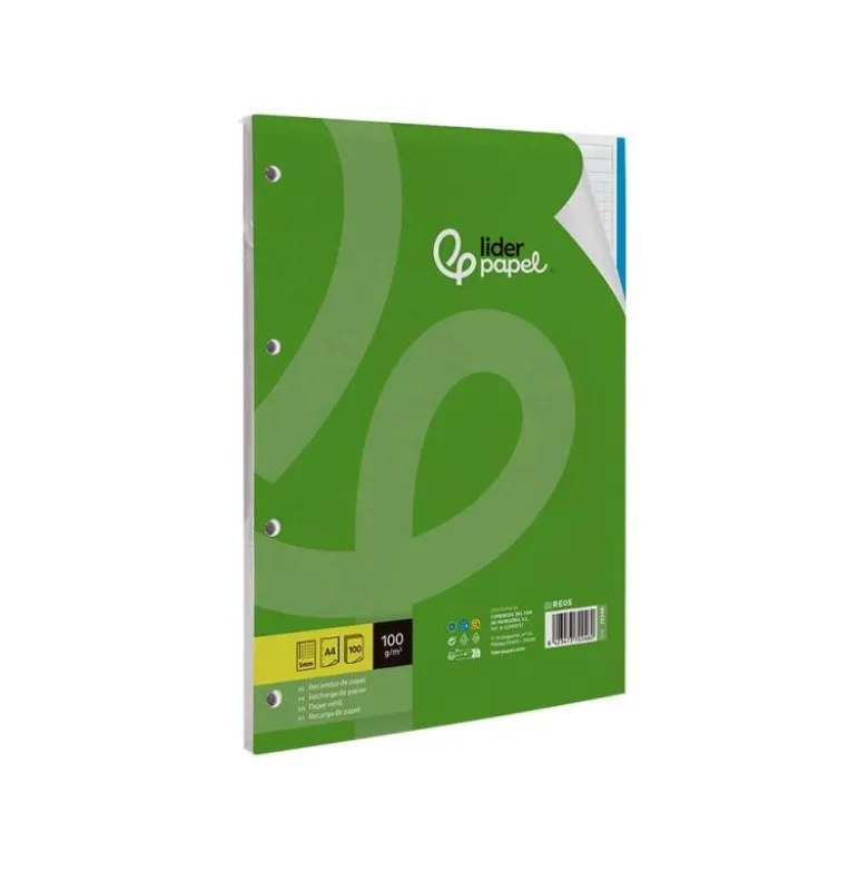 Recambio Liderpapel Din A4 4 taladros 100gr cuadricula 5mm 5 bandas de colores