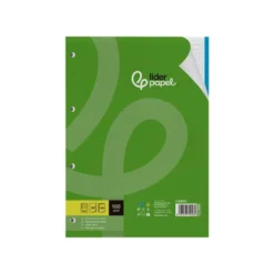 Recambio Liderpapel Din A4 4 taladros 100gr cuadricula 5mm 5 bandas de colores
