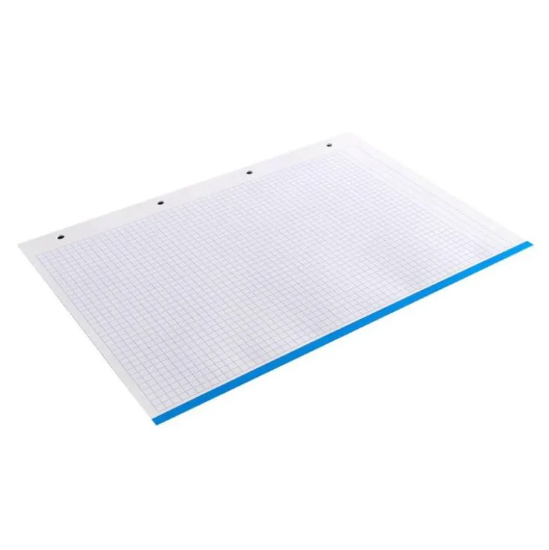 Recambio Liderpapel Din A4 4 taladros 100gr cuadricula 5mm 5 bandas de colores