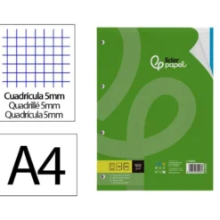 Recambio Liderpapel Din A4 4 taladros 100gr cuadricula 5mm 5 bandas de colores