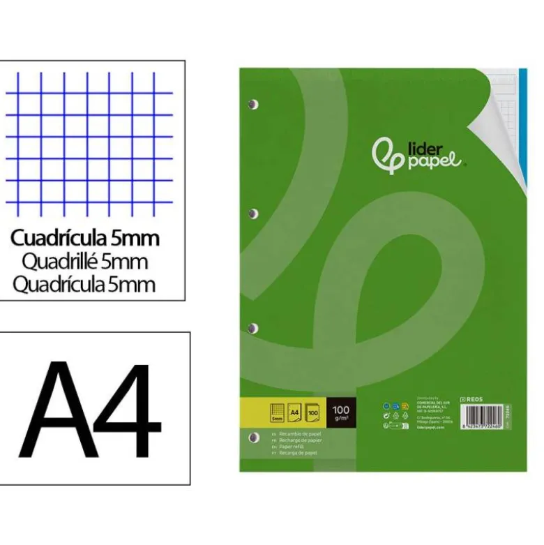 Recambio Liderpapel Din A4 4 taladros 100gr cuadricula 5mm 5 bandas de colores