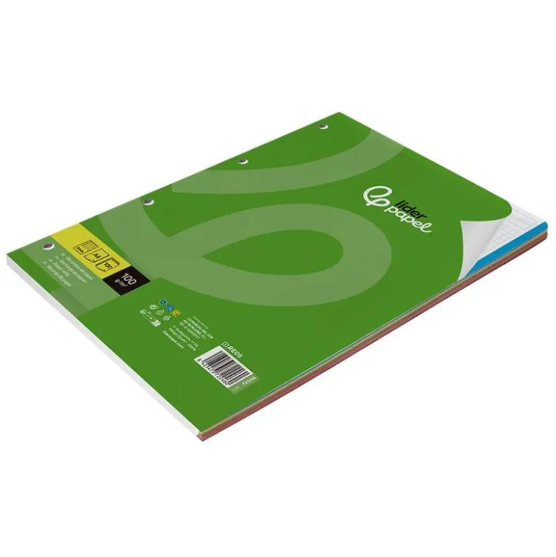 Recambio Liderpapel Din A4 4 taladros 100gr cuadricula 5mm 5 bandas de colores