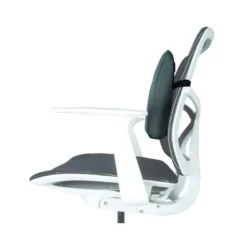 Respaldo Ergonomico Fellowes Lumbar
