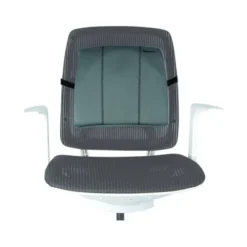 Respaldo Ergonomico Fellowes Lumbar