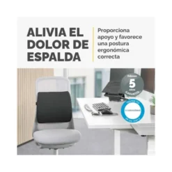 RESPALDO ERGONOMICO FELLOWES LUMBAR ACOLCHADO BREYTA COMFORT COLOR NEGRO 330X380X90 MM