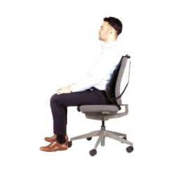 Respaldo ergonómico marca Fellowes mesh office suites almohadillas lumbares