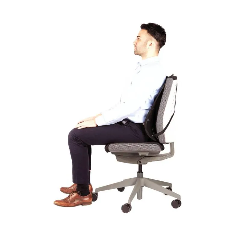 Respaldo ergonómico marca Fellowes mesh office suites almohadillas lumbares