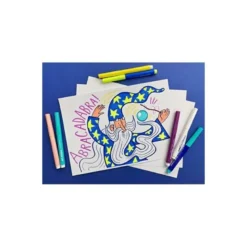 ROTULADOR CARIOCA MAGIC BORRABLE CAJA DE 20 UNIDADES COLORES SURTIDOS