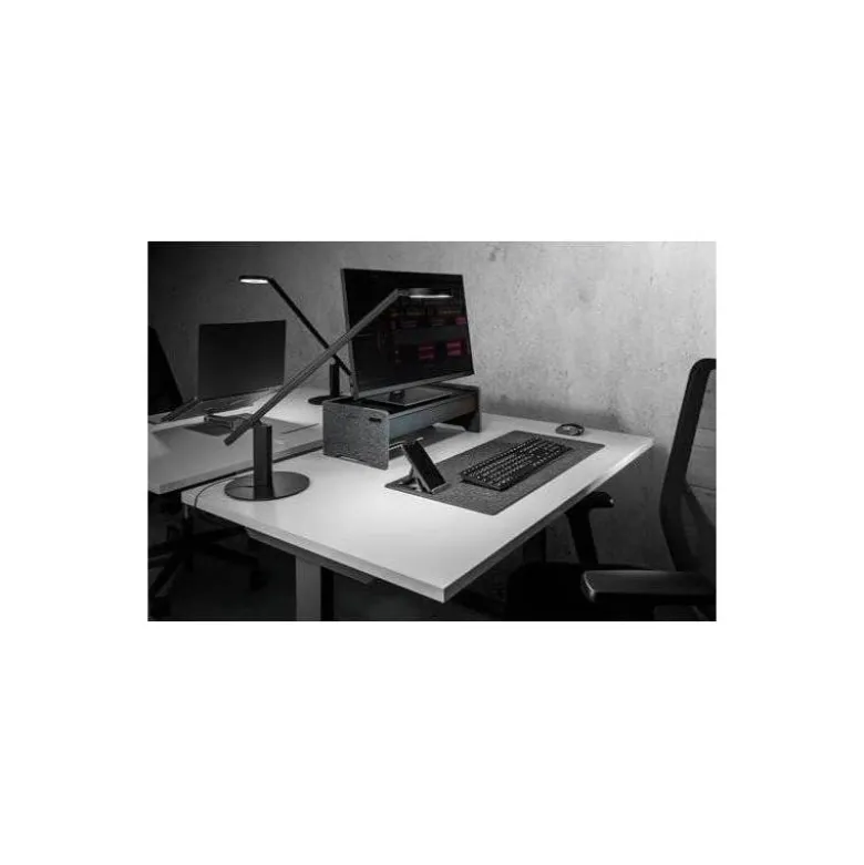 SOPORTE DURABLE EFFECT PARA MONITOR AJUSTABLE 3 POSICIONES PESO MAXIMO 10 KG COLOR ANTRACITA 496X162X260