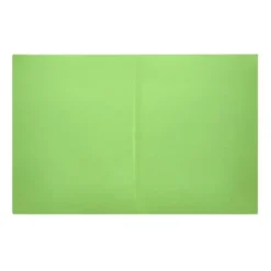 Subcarpeta cartulina Din A4 Liderpapel color verde