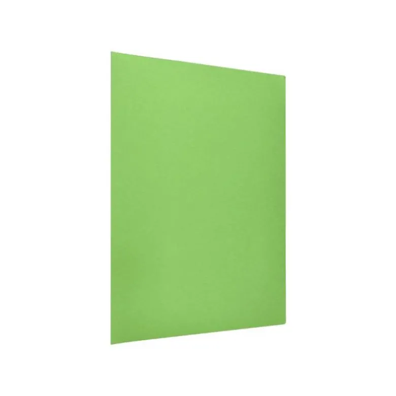 Subcarpeta cartulina Din A4 Liderpapel color verde