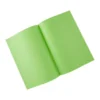 Subcarpeta Exacompta din A4 80 g/m2 color verde menta