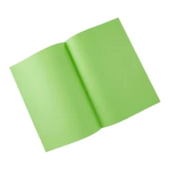 Subcarpeta Exacompta din A4 80 g/m2 color verde menta