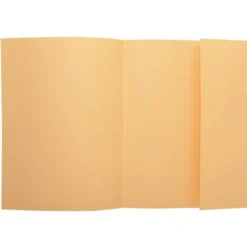 Subcarpeta Exacompta nature future din A4 crema 160 g/m2 con solapa interior