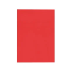 Tapa de Encuadernacion Polipropileno Liderpapel Din A4 rojo Opaco 0,5 mm pack 100 uds